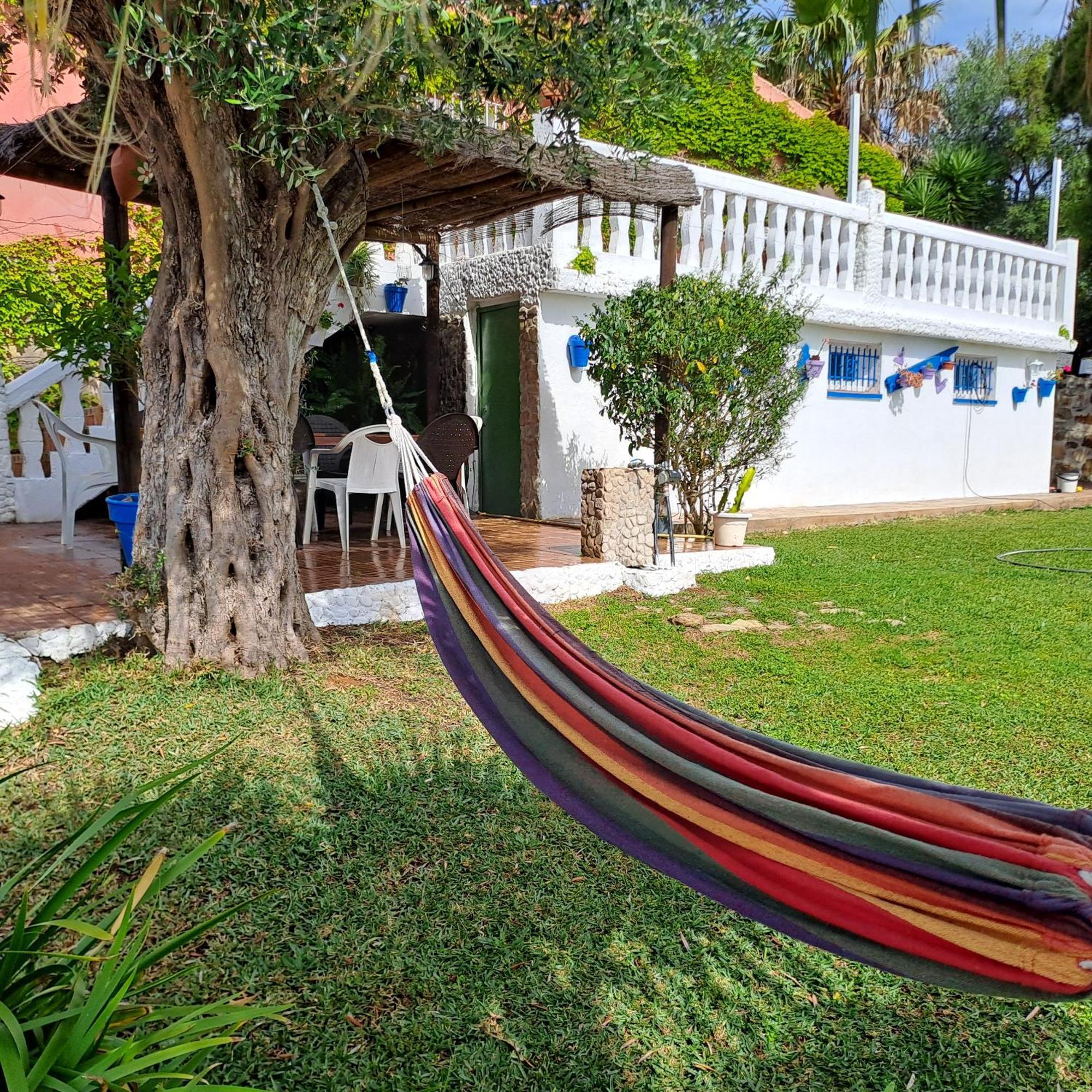 Bambu Vejer de la Frontera